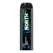 North 5000 Disposable Nicotine Vape | Blueberry Mint