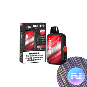 elf bar vape uk North 5000 Blueberry Mint Flavor main image 0